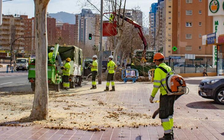 El PSOE exige que se licite ya el contrato de parques y jardines que lleva casi un año caducado
